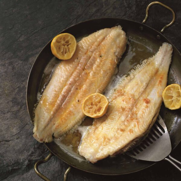 DOVER SOLE