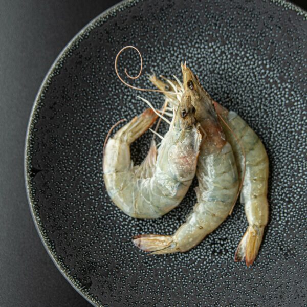 Large Tiger Prawns with shell on